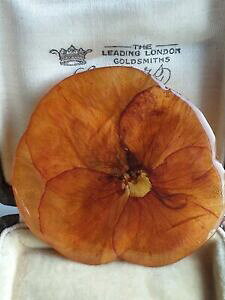 �y���������z�W���G���[�E�A�N�Z�T���[ �v�����T�h���B���e�[�W�f�����u�����g�u���[�V���s���{�^���v���[���e�f�i�^�[���v���[���enuova inserzioneflor prensado vintage deslumbrante broche pin botao pres