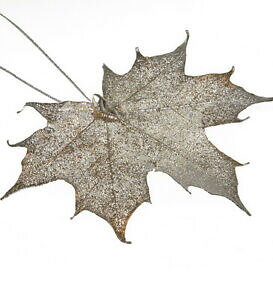 �y���������z�W���G���[�E�A�N�Z�T���[ �V���o�[�A���w���K�[�G�q�^�[�J�i�f�B�b�V���[�A�z�[���u���b�gsilber anhanger echter kanadischer ahorn blatt