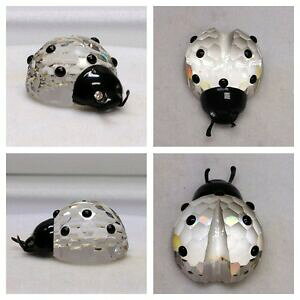 yzWG[EANZT[ IWiXtXL[fBo[hfBo[hfBfBorginal swarovski personaggio coccinella ladybird