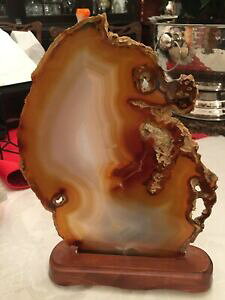 yzWG[EANZT[ AK^V[z[XNX^Ao}Nagata seahorse cristal ambar marrom claro