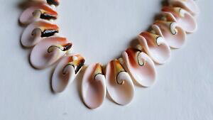 �y���������z�W���G���[�E�A�N�Z�T���[ �V�F���R�A�l�b�N���Xgraziosa collana core shell conchiglia