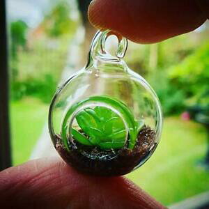 yzWG[EANZT[ j[NeElbNXK[f{gt@rXunique fatti a mano tiny terrario collana bottiglia giardino pianta succulenta favoloso