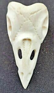 �y���������z�W���G���[�E�A�N�Z�T���[ �����O�������g�����{�X�g�[���Xbird skull mortalita anello memento mori osso intagliati a mano bos taurus