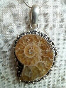 yzWG[EANZT[ A}Cgy_g`F[bellissimo ciondolo ammonite, catena incluso gratis pamp;p