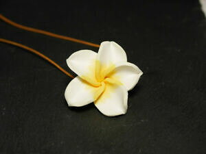 yzWG[EANZT[ U[lbNXnCAjbV[t[collana in pelle con hawaiianischer fiore