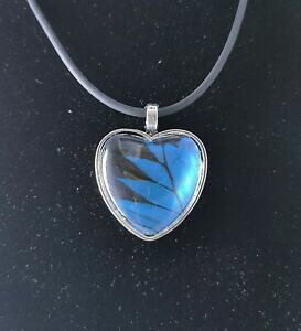 yzWG[EANZT[ o^tCEBOXn[gy_glbNXcollana ciondolo a cuore ali di farfalla ulisses