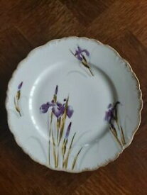 【送料無料】キッチン用品・食器・調理器具・陶器　アンティークデリモージュフランス手描きアイライズファイン磁器ディナープレートAntique BM de M Limoges France Hand Painted Irises Fine Porcelain Dinner Plates
