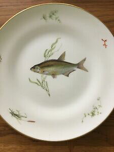 yzLb`piEHEE@`[hWmNl[`X[XfBi[v[gtBbVC^AGNZgRichard Ginori QUENELLE - ROACH (Smooth) Dinner Plate Fish IT