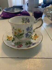yzLb`piEHEE@ÉɔCɂpSeB[Jbv\[T[BParagon By Appointment to her Majesty the Queen Bone China Tea Cup  Saucer.
