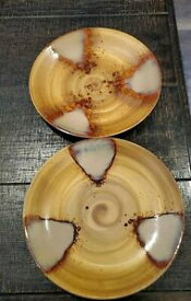 【送料無料】キッチン用品・食器・調理器具・陶器　ディナープレートブラウンドリップストーンウェアの三五スプラッシュセットSango Splash Set of 2 11 Dinner Plates Brown Drip Stoneware