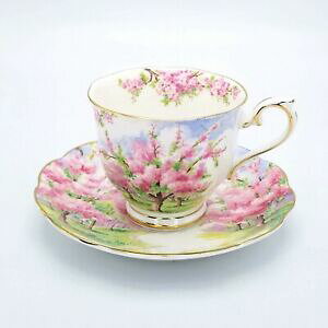 yzLb`piEHEE@CAo[g{[`CieB[Jbv\[T[ubT^CCOhRoyal Albert Bone China Tea Cup  Saucer Blossom Time Reg.# 79993