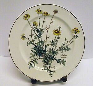 yzLb`piEHEE@x[j[XBC{bz{^jJ`v[gAZ~YCG[t[VERY NICE Villeroy  Boch Botanica 9.5 Luncheon Plate Anthemis Ye