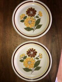 【送料無料】キッチン用品・食器・調理器具・陶器　つのヴィンテージデヴィルカプリコレクションの石器ディナープレートのセットSet Of two Vintage DeVille Capri 300 Collection Stoneware Dinner Plates EUVC