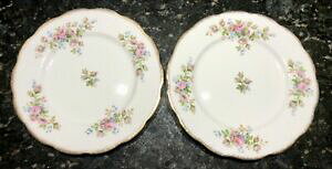 yzLb`piEHEE@Zbg×`v[gCAo[gX[YBe[WCOhp[tFNgSet 2 x Lunch Plates Royal Albert Moss Rose Vintage Engl