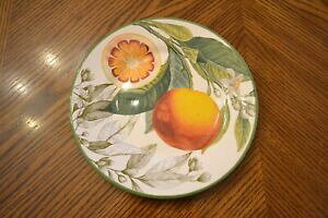 yzLb`piEHEE@EBAY\m}HAkIW[WZ~bNT_v[gWILLIAMS-SONOMA Dinnerware BOTANICAL CITRUS Orange Large Ceramic Salad Plate 9