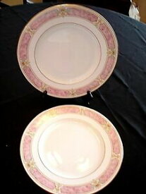 【送料無料】キッチン用品・食器・調理器具・陶器　レノックスクラシックスコレクションベネチアンマーブルピンクディナープレートセットLENOX Classics Collection VENETIAN MARBLE Pink Dinner Plates Set of 2 USA