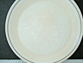 【送料無料】キッチン用品・食器・調理器具・陶器　レノックステンパーウェアシルエットセットディナープレートLenox USA Temper-Ware SILHOUETTE Set of 2 (10-1/4) Dinner Plates NICE