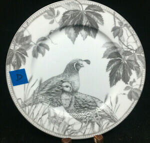 yzLb`piEHEE@T_v[gEBAY\m}I[^@CO[zCgEYEBA1 Salad Plate Williams Sonoma Autumn Vine Grey White Quail #D Wi