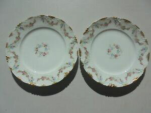 yzLb`piEHEE@AeB[N`Xnrh[WtX[YK[h[XT_v[gPr Antique Chas Haviland Limoges France Rose Garland  Wreath 