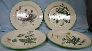 yzLb`piEHEE@EBAY\m}n[uT_v[gZbgWilliams Sonoma Culinary Herbs Salad Plate set of 4