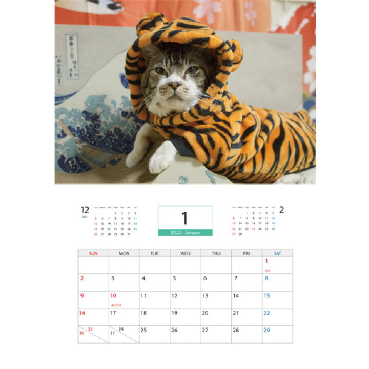 楽天市場 予約販売 猫のリキちゃんねる 22年 壁掛け カレンダー Kk Hokushin 楽天市場 予約販売 猫のリキちゃんねる 22年 壁掛け カレンダー Kk Hokushin
