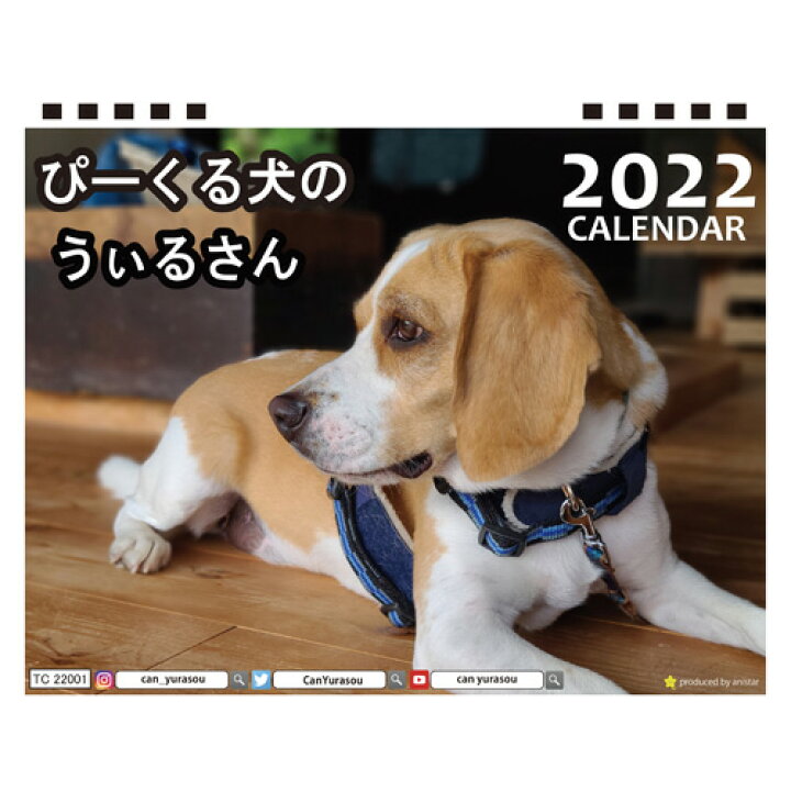 楽天市場 予約販売 ビーグル犬 うぃるさん 22年 卓上 カレンダー Tc210 Hokushin