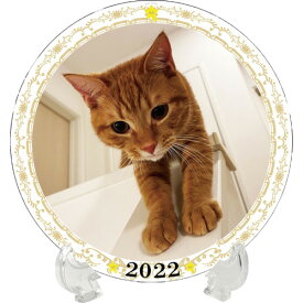 【予約販売】 カワウソ もち 2022年 イヤープレート皿立て付き PU2202