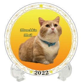 【予約販売】 猫 まいるんち 2022年 イヤープレート皿立て付き PU2205