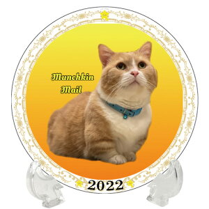 y\̔z L ܂ 2022N C[v[gMĕt PU2205