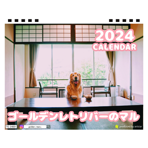  ゴールデンレトリバー犬のマル 2024年 卓上 カレンダー TC24147