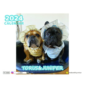 【予約販売】 フレンチブルドッグ犬のtorus トーラス 2024年 卓上 カレンダー TC24004