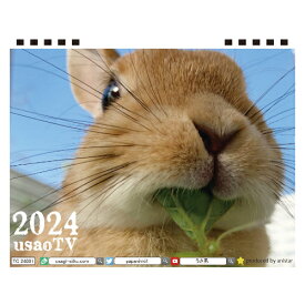 【予約販売】 うさぎ うちのウサ 2024年 卓上 カレンダー TC24088