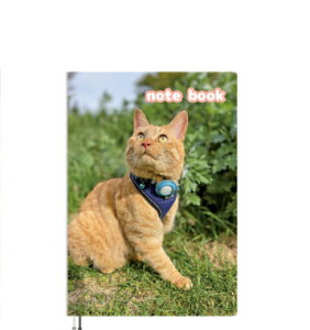 y\̔z S[fgo[یL ؂񂸁I 2025N A5m[g No25010