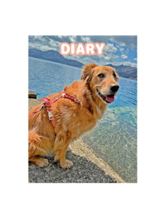 y\̔z S[fgo[یL ؂񂸁I 2025N L DR25012