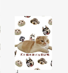 y\̔z ƔL̐eoJL 2025N L DR25133