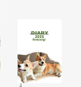 y\̔z ߂ẴR[M[ 2025N L DR25151