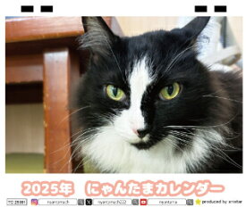 【予約販売】 猫のにゃんたま 2025年 ECO卓上半面 カレンダー TC25019