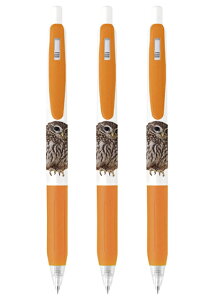 y\̔z ӂ낤̃gD F {[y 3{Zbg BA199NN