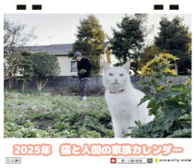 【予約販売】 猫と人間の家族 2025年 ECO卓上全面 カレンダー TC25208