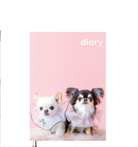 y\̔z `UNIEBI 2025N L DR25241