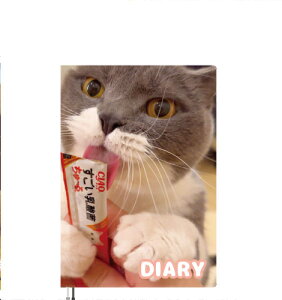 y\̔z L̃ER 2025N L DR25277