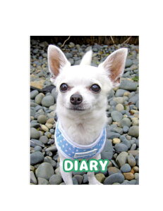 y\̔z `̂񐶊 2025N L DR25031