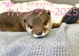 【予約販売】 カワウソ さくら 2025年 壁掛け カレンダー KK25370