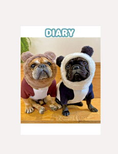 y\̔z t`uhbOtorus g[X 2025N L DR25039