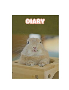 y\̔z ̖؂ 2025N L DR25062