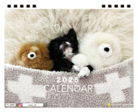 【予約販売】 チワワ犬のTORO&UNI 2025年 卓上全面 カレンダー TC25074