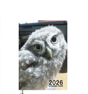 y\̔z ӂ낤̃gD 2026N A5XPW[ A526109