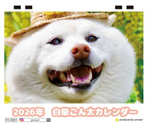 y\̔z Ă Č 2026N  J_[ TC26013