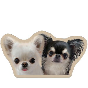 y\̔z `UNIEBI  XebJ[ 3Zbg SU006NN