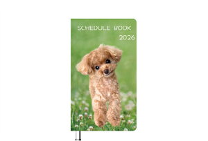 y\̔z gCv[h̃R  2026N |PbgXPW[ PO26150